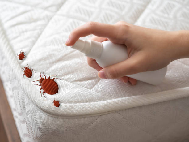 Pest Control for Restaurants in Sanford, FL